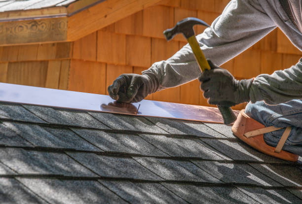 Best Skylight Installation and Repair  in River Rouge, MI