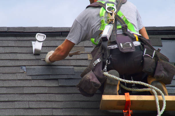 Best Roof Coating and Sealing  in River Rouge, MI