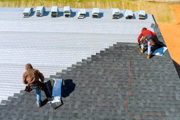 Best Asphalt Shingle Roofing  in River Rouge, MI