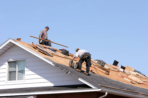 Best Hot Roofs  in River Rouge, MI