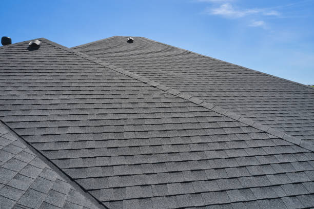 Best Emergency Roof Repair Services  in River Rouge, MI