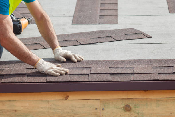 Best Gutter Installation and Repair  in River Rouge, MI